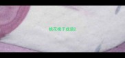 桃花桃子成语