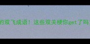甄嬛传里的双飞成语这些双关梗你get了吗