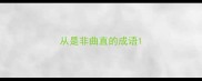 从是非曲直的成语