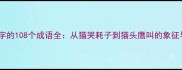 含有猫字的108个成语全从猫哭耗子到猫头鹰叫的象征与妙用