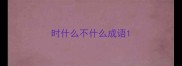 时什么不什么成语