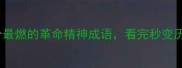 必看10个最燃的革命精神成语看完秒变历史课学霸