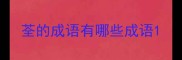 荃的成语有哪些成语