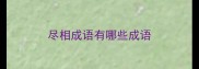 尽相成语有哪些成语