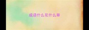 成语什么花什么草