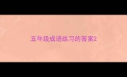 五年级成语练习的答案
