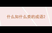 什么如什么类的成语