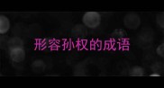 形容孙权的成语