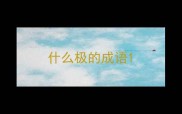 什么极的成语