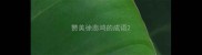 赞美徐悲鸿的成语