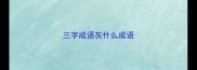 三字成语灰什么成语