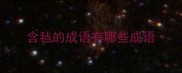 含毡的成语有哪些成语