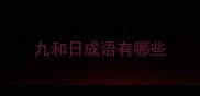 九和日成语有哪些