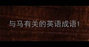 与马有关的英语成语