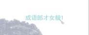 成语郎才女貌