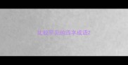 比较罕见的四字成语