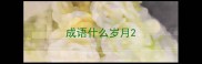 成语什么岁月