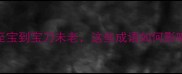 宝字成语全从如获至宝到宝刀未老这些成语如何影响现代职场与生活智慧