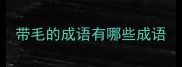 带毛的成语有哪些成语