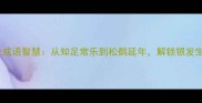 退休必知的20个成语智慧从知足常乐到松鹤延年解锁银发生活的深层含义