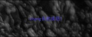 zhang长的成语