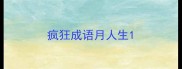 疯狂成语月人生