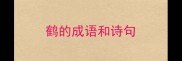 鹤的成语和诗句