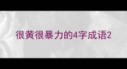 很黄很暴力的4字成语