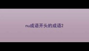 nu成语开头的成语