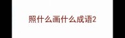 照什么画什么成语