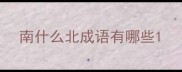 南什么北成语有哪些