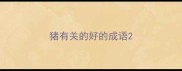 猪有关的好的成语