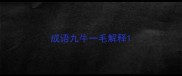 成语九牛一毛解释