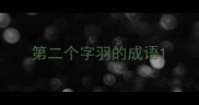 第二个字羽的成语