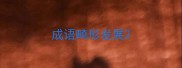成语畸形发展