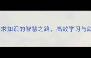 20个必学的成语追求知识的智慧之路高效学习与励志人生的黄金法则