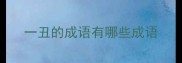 一丑的成语有哪些成语