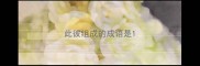 此彼组成的成语是
