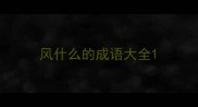 风什么的成语大全