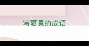 写夏景的成语