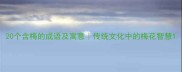 20个含梅的成语及寓意传统文化中的梅花智慧