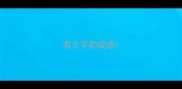 有少字的成语