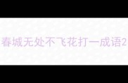 春城无处不飞花打一成语
