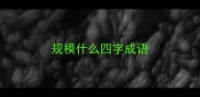 规模什么四字成语