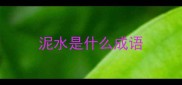 泥水是什么成语