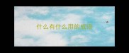 什么有什么用的成语
