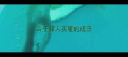 关于郑人买履的成语