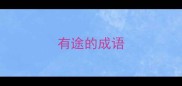 有途的成语