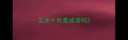 五光十色是成语吗