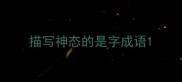 描写神态的是字成语